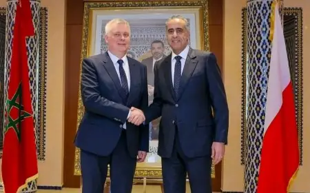 حموشي يستقبل مسؤولا أمنيا رفيعا من بولونيا لتعزيز التعاون الثنائي