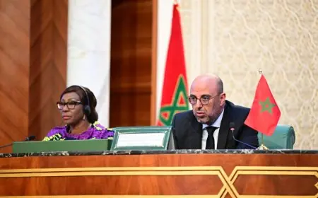 رسميا.. ولد الرشيد رئيسا لجمعية مجالس الشيوخ الإفريقية