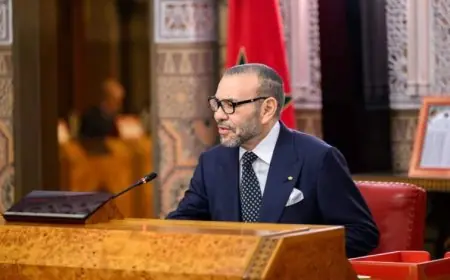 وزير الفلاحة يستعرض أمام الملك محمد السادس حصيلة الموسم الفلاحي وآفاق الإنتاج