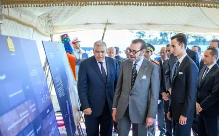 210 مليار درهم لتنزيل الجيل الجديد من برامج التنمية الترابية