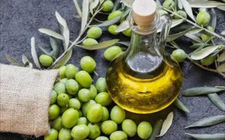دارسة تكشف تفوق زيت الزيتون على الزبدة في حماية القلب من الأمراض