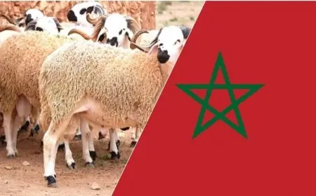 Les premières estimations fixent Aïd al-Adha au 27 mai 2026 au Maroc, en attente de confirmation officielle