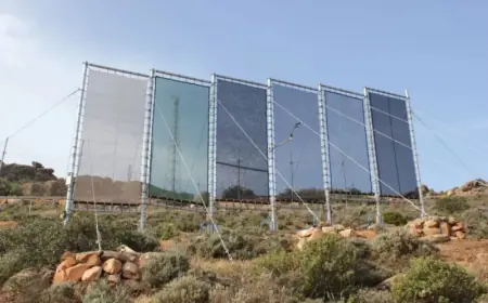 À Sidi Ifni, des filets à brouillard alimentent 160 foyers et mettent fin à la corvée d’eau