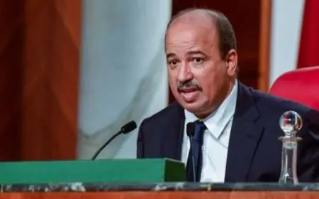 ميارة يعلن انسحابه من قيادة الاتحاد العام للشغالين بالمغرب ويدعو إلى عقد مؤتمر استثنائي