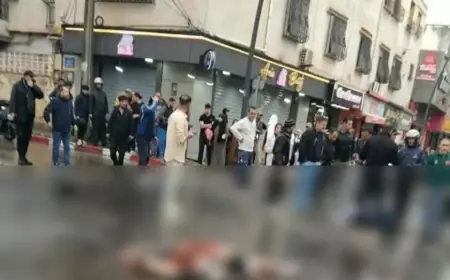 Deux attentats-suicides frappent la wilaya de Blida le jour de l’arrivée du Pape Léon XIV en Algérie
