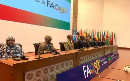 À Nouakchott, le Maroc prend part aux travaux de l’ARC34 et accède à la vice-présidence de la Conférence de la FAO
