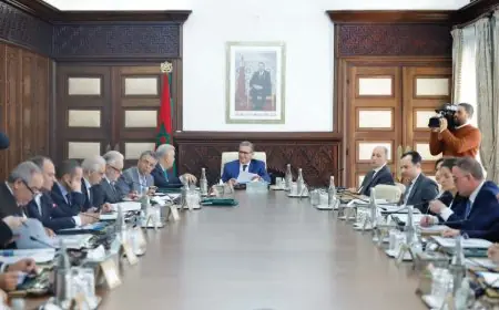الحكومة تطّلع على اتفاقية للتعاون العسكري بين المغرب وغامبيا