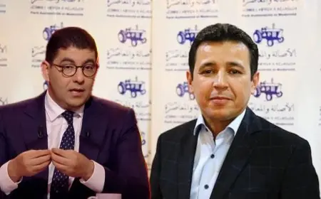 من سيقود لائحة البام في الانتخابات البرلمانية بإقليم تيزنيت؟