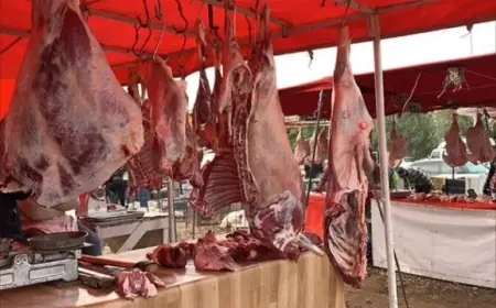 قبل عيد الأضحى.. أسعار اللحوم الحمراء تقفز إلى 150 درهما للكيلوغرام بالمغرب