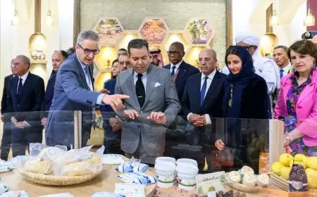 الأمير مولاي رشيد يترأس افتتاح الدورة الـ18 للملتقى الدولي للفلاحة بمكناس