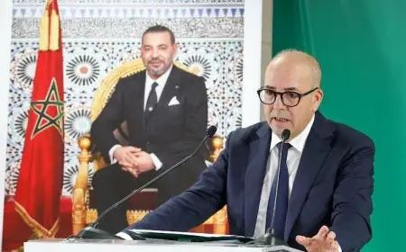 أحمد البواري من مكناس: إنتاج الحبوب سيبلغ 90 مليون قنطار ونسبة ملء السدود بالمغرب وصلت 76%