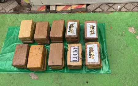 إجهاض محاولة لتهريب أزيد من 33 كيلوغراماً من الكوكايين بميناء طنجة المتوسط