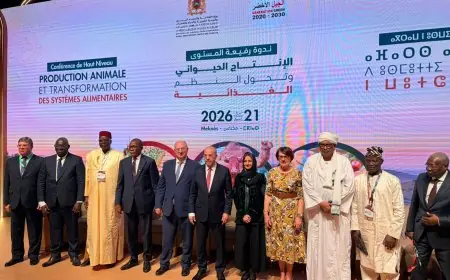 لإطلاق مرحلة جديدة من التعاون.. مكناس تحتضن اجتماعا جديدا للجنة الفلاحية المشتركة بين المغرب وفرنسا