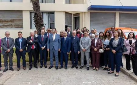 Le ministère du Transport et Barid Al-Maghrib lancent la modernisation de la distribution des permis de conduire et des certificats d’immatriculation