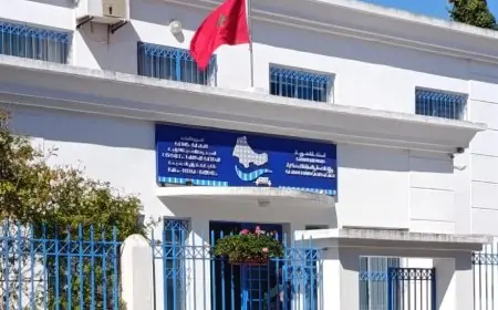 المجموعات الصحية الترابية ورش حكومي يستهدف بلوغ 60 في المائة من التنزيل قبل نهاية الولاية