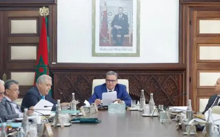 الحكومة تصادق على لائحة التعيينات الجديدة في المناصب العليا