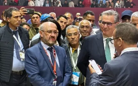 عزيز أخنوش يتفقد أروقة المواشي بالمعرض الدولي للفلاحة بمكناس