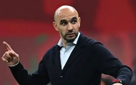 فرنسيون يدعون إلى التعاقد مع وليد الركراكي لإنقاذ أولمبيك مارسيليا من أزمته