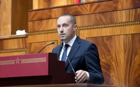 التهراوي يرد على منح موعد طبي لسيدة مسنة في 2027 ويعد بالحل دون إجراءات واضحة