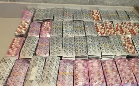 إحباط تهريب أزيد من 17 ألف قرص مخدر و60 كلغ من “المعسل” بميناء طنجة المتوسط