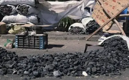 قبل عيد الأضحى.. أسعار الفحم تواصل الارتفاع بالأسواق المغربية
