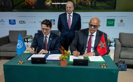 Le Maroc renforce la valorisation de son patrimoine agricole à travers une approche innovante