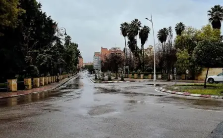 توقعات أحوال الطقس اليوم الأحد بالمغرب