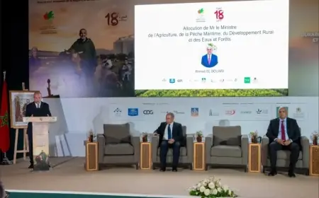 Ahmed Bouari préside à Meknès une rencontre sur la formation agricole au SIAM 2026