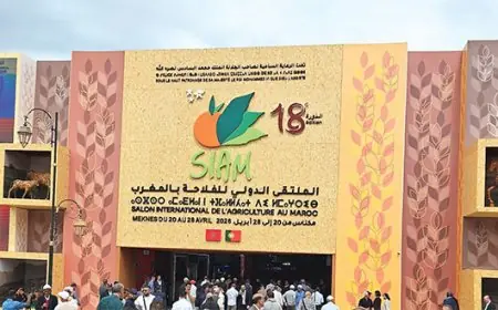 Clôture du SIAM 2026 à Meknès un succès confirmé pour l’agriculture marocaine