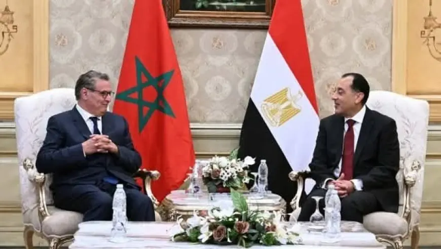 أخنوش: المغرب ومصر عازمان على إعطاء دفعة جديدة لعلاقاتهما الثنائية