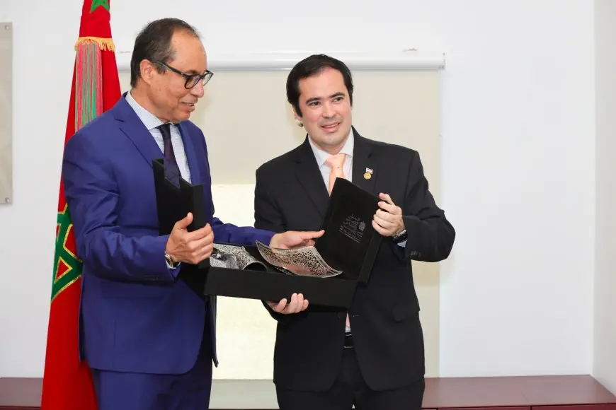 Rencontre entre le Conseil économique social et environnemental et le Parlement du Mercosur