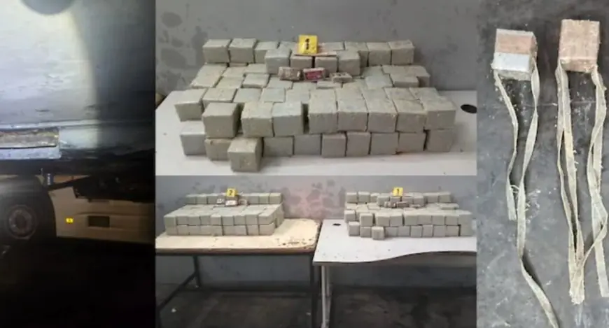 إحباط محاولة تهريب 181 كيلوغراماً من "الشيرا" نحو الخارج بميناء طنجة المتوسط