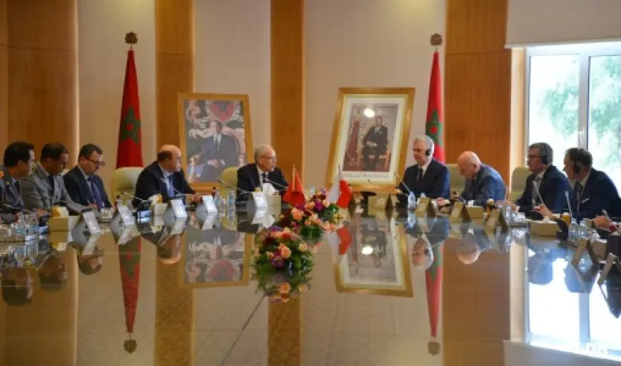 بتعليمات ملكية.. لوديي يتباحث مع وزير بولوني لتعزيز الشراكة العسكرية بين البلدين