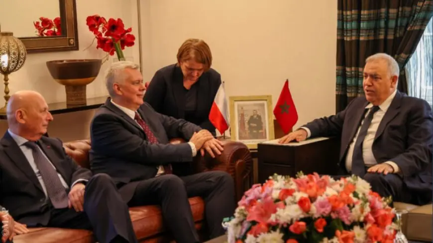 لفتيت يبحث مع نظيره البولوني تعزيز التعاون الأمني والهجرة