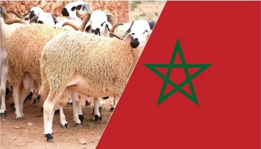 Les premières estimations fixent Aïd al-Adha au 27 mai 2026 au Maroc, en attente de confirmation officielle