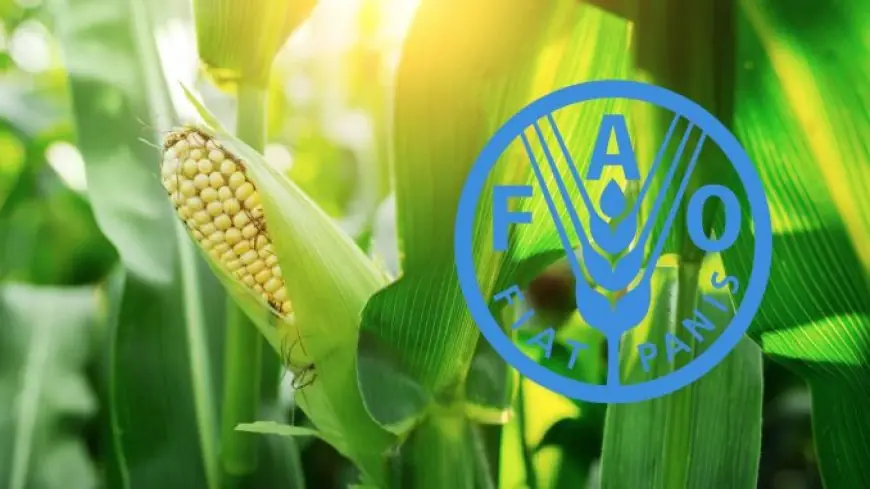 La FAO met en garde : un blocage du détroit d’Ormuz menacerait la sécurité alimentaire mondiale