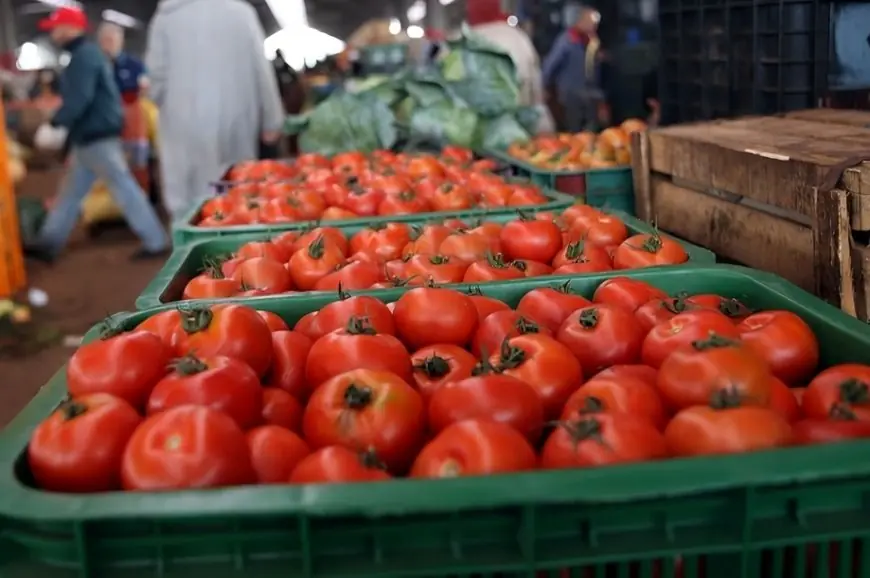 الطماطم تقفز إلى 12 درهماً للكيلوغرام والمواطنون يشتكون الغلاء