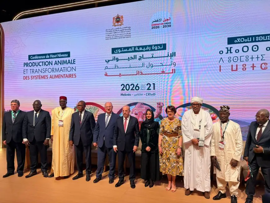 Meknès accueille une nouvelle réunion du comité agricole mixte Maroc France pour lancer une étape de coopération renforcée