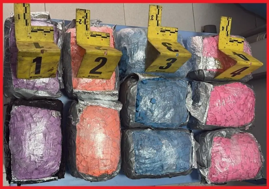 إحباط محاولة تهريب 19 ألف قرص مهلوس بميناء طنجة المتوسط