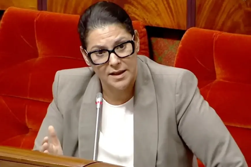 المنصوري تلجأ إلى القضاء ضد موقع إخباري إلكتروني بسبب ملف عقار تسلطانت