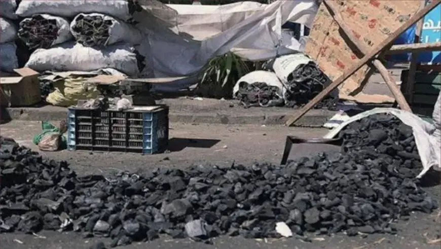 قبل عيد الأضحى.. أسعار الفحم تواصل الارتفاع بالأسواق المغربية