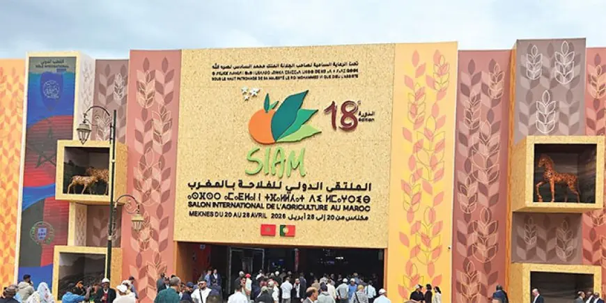 Clôture du SIAM 2026 à Meknès un succès confirmé pour l’agriculture marocaine