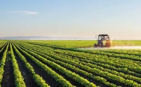 Registre national agricole : le Maroc accélère la fiabilisation des données pour piloter le secteur