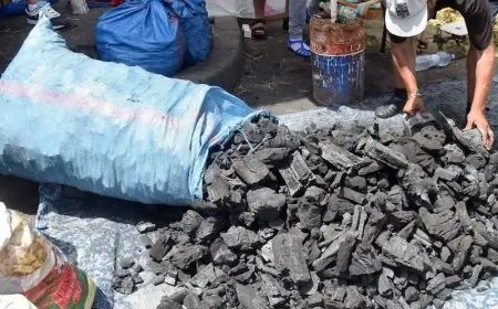 قبل عيد الأضحى.. أسعار الفحم بالمغرب تقفز إلى 20 درهماً للكيلوغرام