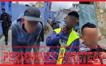توقيف أربعة أشخاص بشفشاون لتورطهم في ابتزاز مواطن أجنبي