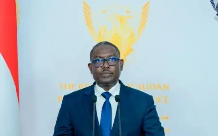 حكومة السلام في السودان تعلن استعدادها لوقف الحرب والدخول في هدنة إنسانية