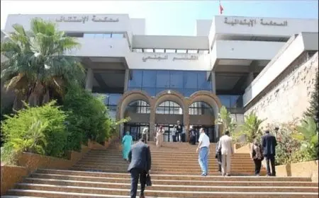 مستجدات محاكمة "تُوربو" والمتهمين في قضية قتل زوج الفنانة ريم فكري