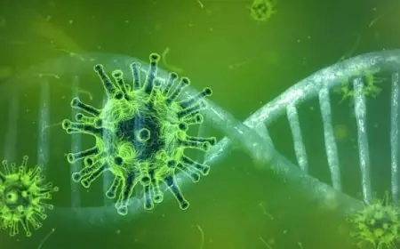 Soupçon de hantavirus à bord du navire MV Hondius : Londres prépare l’évacuation des ressortissants britanniques