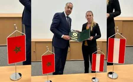 حموشي يقوم بزيارة عمل إلى فيينا لتعزيز التعاون الأمني الدولي