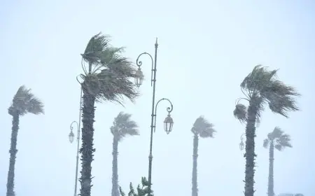 الأرصاد الجوية تدعو إلى توخي الحيطة والحذر بسبب التقلبات الجوية المرتقبة